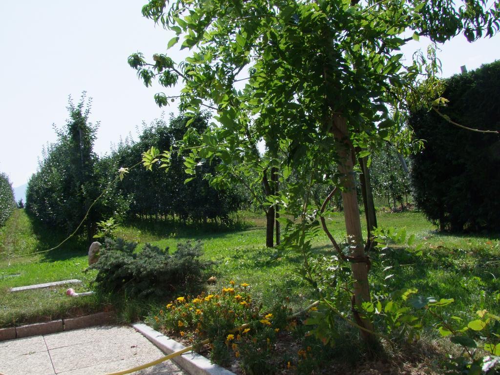 Appartement Agritur Fior Di Melo à Nanno Extérieur photo